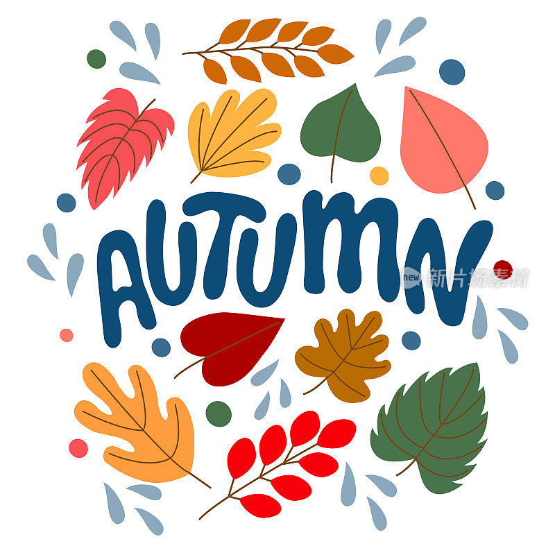Set of bright autumn leaves and inscription - autumn, in vector graphics on a white background. For the design of postcards, posters, prints for covers, mugs, T-shirts, bags, wrapping paper